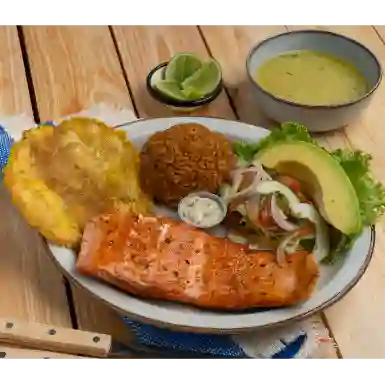 Salmon