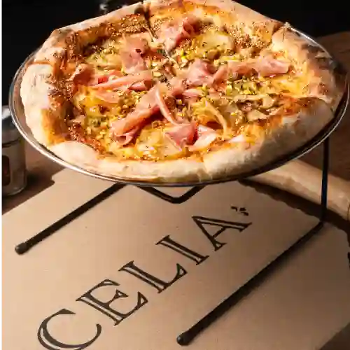 Celia