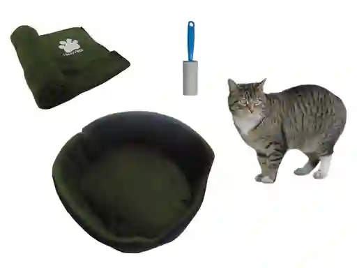 Hally Pets Set Gato Cama + Cobija + Quitamotas Verde OT0011