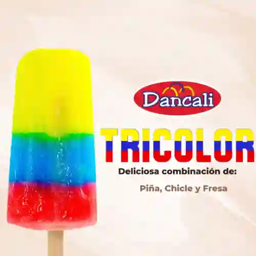 Paleta Tricolor X 15