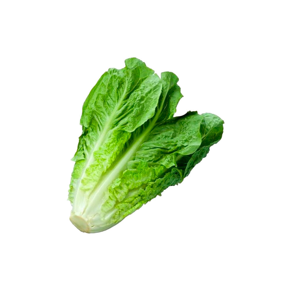 Lechuga Romana Ecológica 120 g