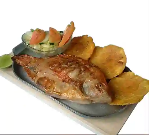 Mojarra