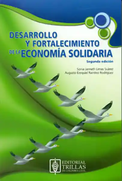 Desarrollo y Fortalecimiento de la Economía Solidaria - VV.AA