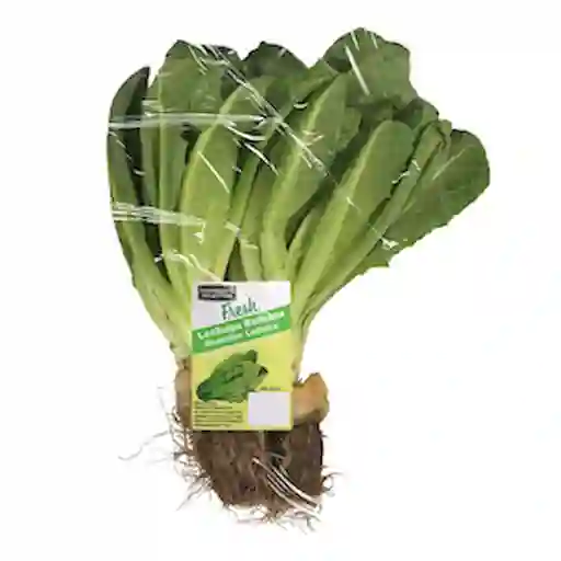 Members Selection Lechuga Romana - Pricesmart