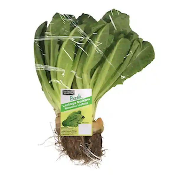Members Selection Lechuga Romana - Pricesmart