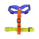 Arnés H Color Ts Diseño 0002 Casaideas