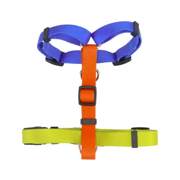 Arnés H Color Ts Diseño 0002 Casaideas