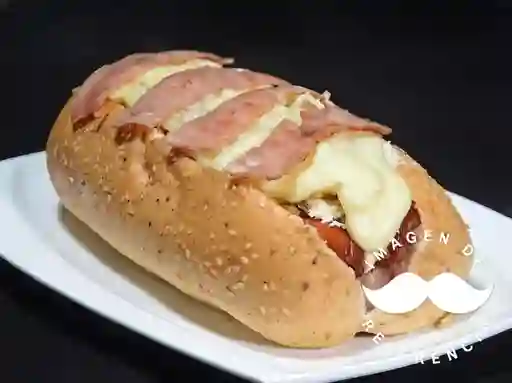 Perro Italo Suizo