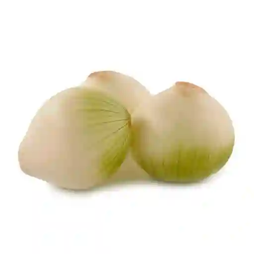Cebolla Cabezona Blanca