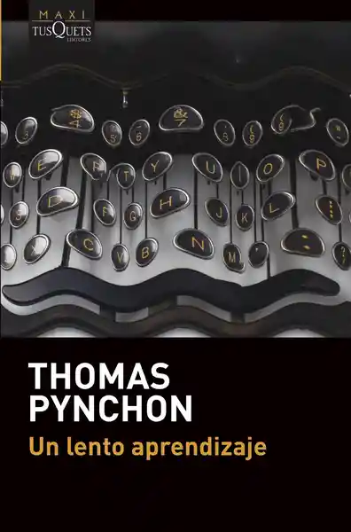 Un Lento Aprendizaje - Pynchon Thomas