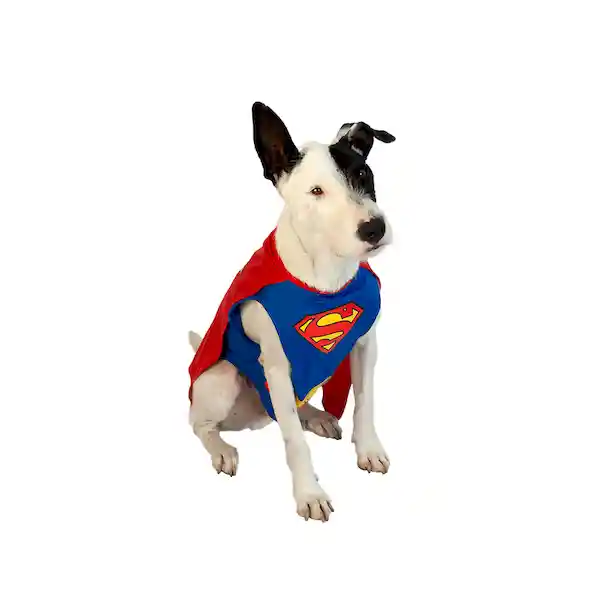 Disfraz Superman Mascota Talla S Pet-0011