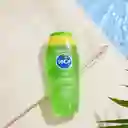 Tanga Gel Calmante y Refrescante con Aloe