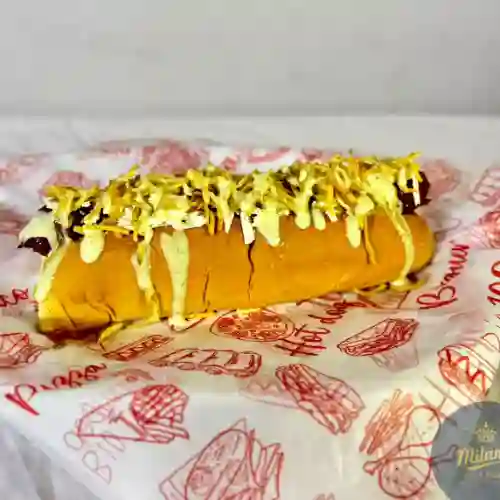 Perro suizo
