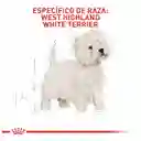 Royal Canin Alimento para Perro West Highland White Terrier 