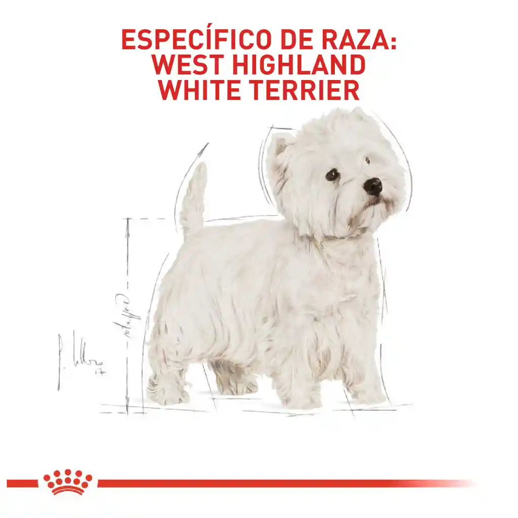 Royal Canin Alimento para Perro West Highland White Terrier 