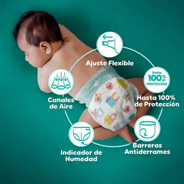 Pañales Pampers Baby Dry Etapa 7 54 U​nd