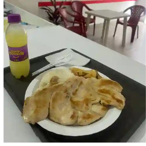 Bandeja Piloto