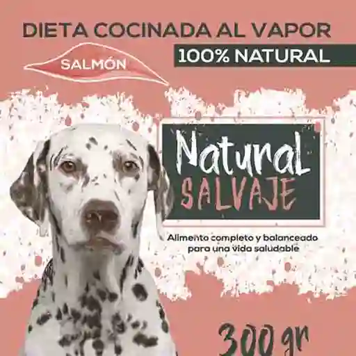 9 x Natural Salvaje Alimento Para Perro Dieta al Vapor de Salmon