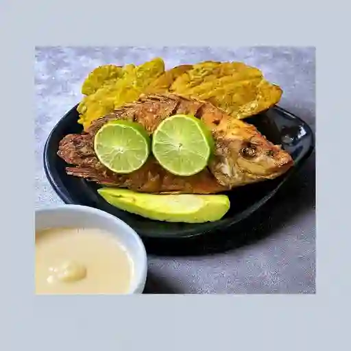 Mojarra Frita
