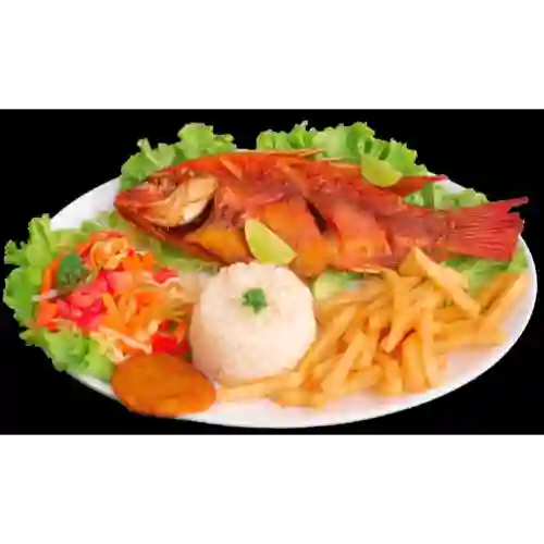 Mojarra