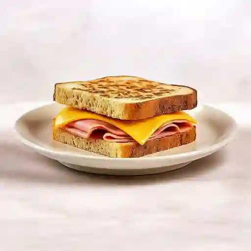 Sandwich Especial
