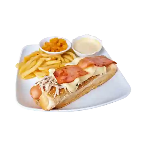 Perro Especial