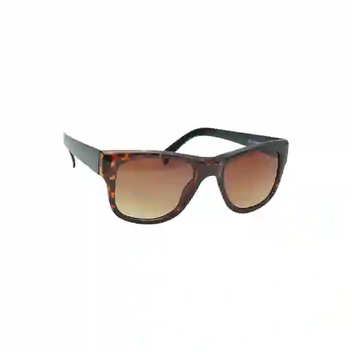 Brightlook Lente Ptr Solar Woman Brown