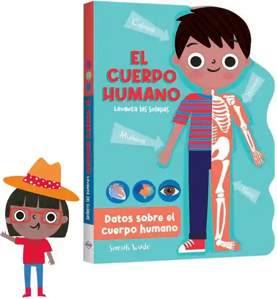 Libro Infantil el Cuerpo Humano Aprende y Descubre