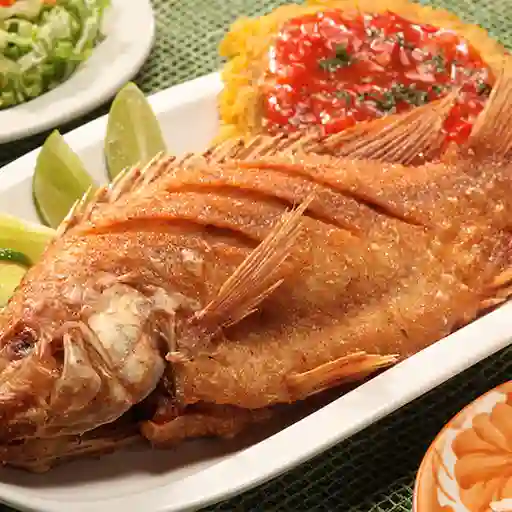 Mojarra