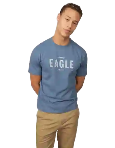 Camiseta Hombre Azul Talla: MEDIUM 4419410 American Eagle