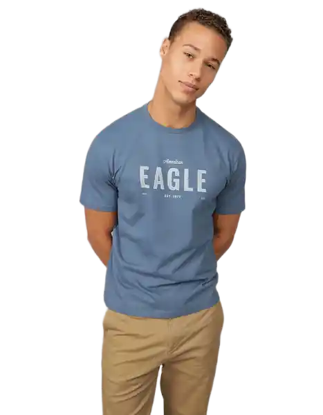 Camiseta Hombre Azul Talla: MEDIUM 4419410 American Eagle