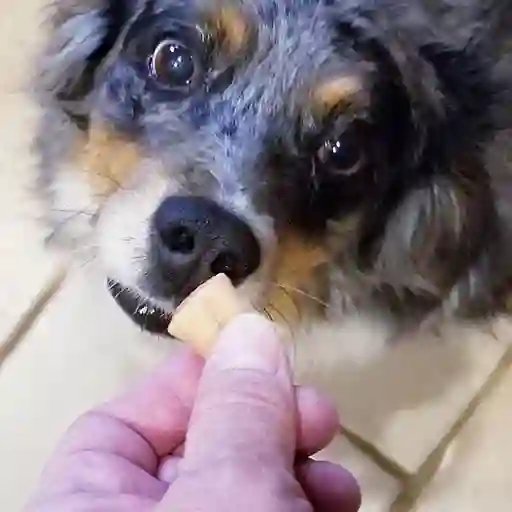 Galletas para Perros