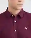Camiseta Oxford Masculino Morado Sombrío Ultra Oscuro L Chevignon