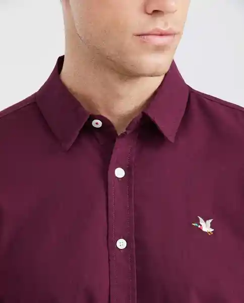 Camiseta Oxford Masculino Morado Sombrío Ultra Oscuro L Chevignon