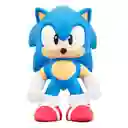 Goo Jit Zu Sonic 7