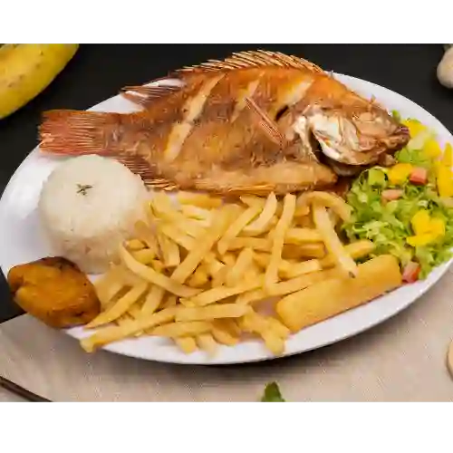 Mojarra