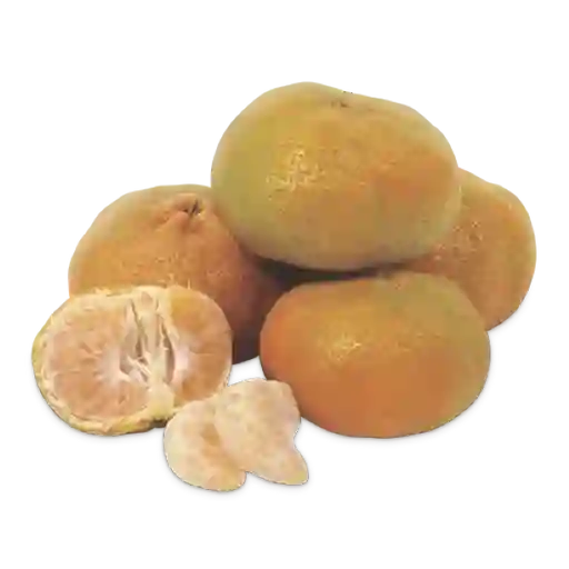Makro Mandarina Arrayana