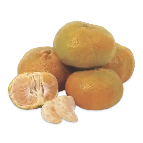 Makro Mandarina Arrayana