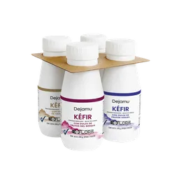 Dejamu Kéfir Semidescremado Sabores