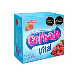 Gel´hada Gelatina Vital Frambuesa
