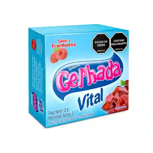 Gel´hada Gelatina Vital Frambuesa