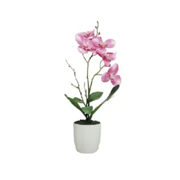 Maceta Orquídea Rosa Jardín 60-9400 R Finlandek