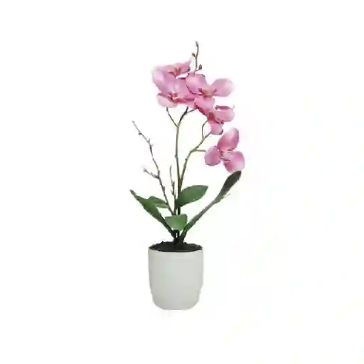 Maceta Orquídea Rosa Jardín 60-9400 R Finlandek