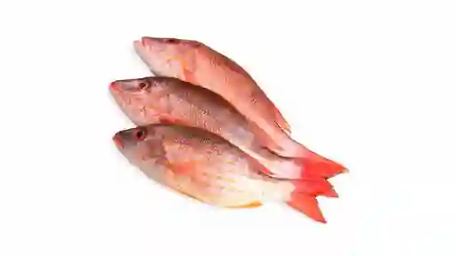 Pescado Pargo Platero a Granel