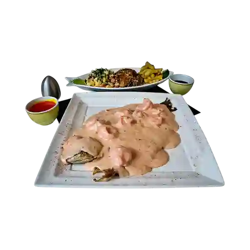 Trucha en Salsa de Camarón