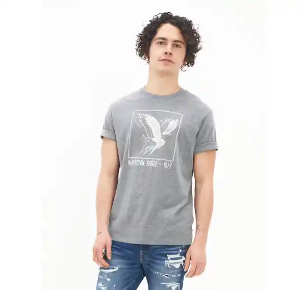 Camiseta Hombre Gris Talla Small American Eagle 01812824