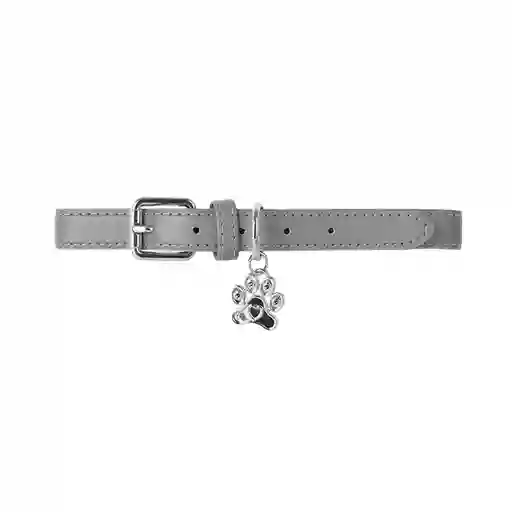 Collar Mascotas Dije de Huella Grande Serie Silver Gray Miniso