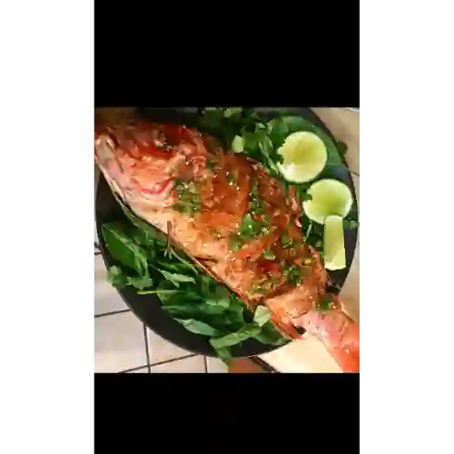 Pargo en Finas Hierbas