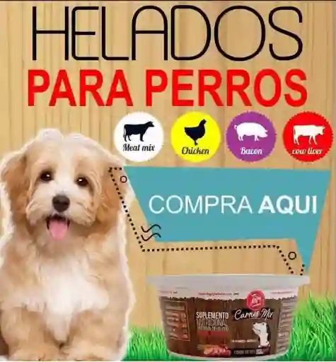Helados para Perros