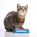 Mirringo Alimento para Gatos Adultos Original